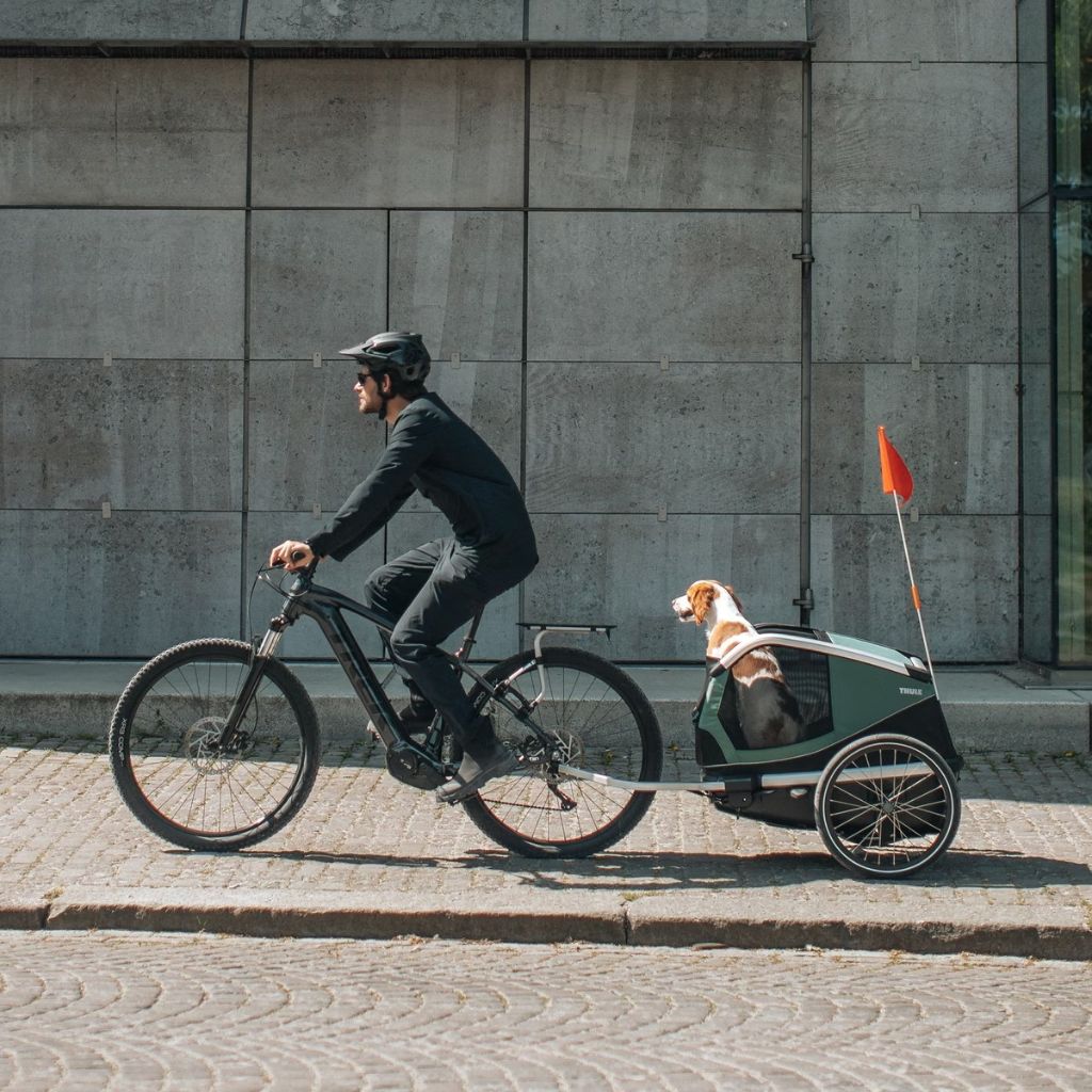 fahrradanhänger hund m Thule Bexey M Fahrradanhänger für Hunde