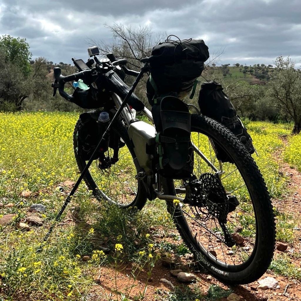 Seitenständer für Reiserad für Carbon-Sattelschiene Bikerando Biri Pro