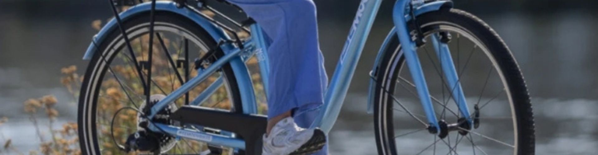 roue 24 pouces