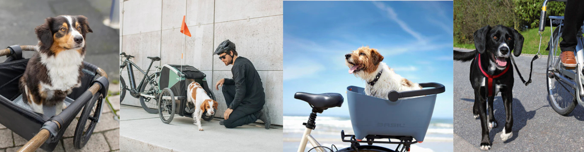 Remorque vélo pour animal de compagnie