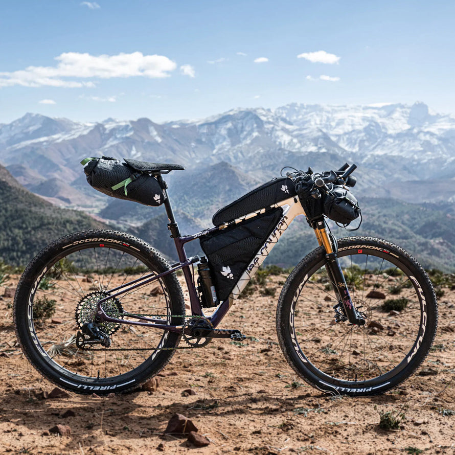 Sacoche Top Tube ultra-distance Big Node Miss Grape bike