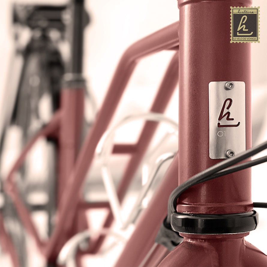 zoom sur le cadre du vélo Histoire Bike , Globe Trotteuse expedition