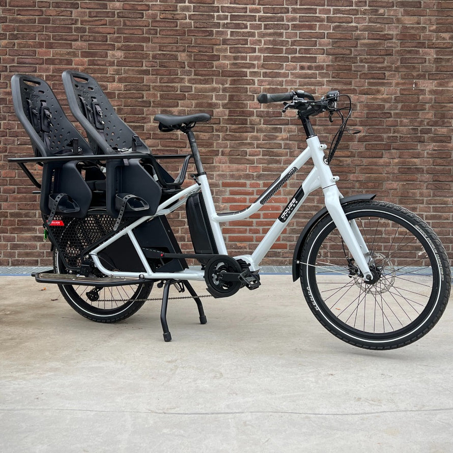 Copertura protettiva DS Covers per bici longtail