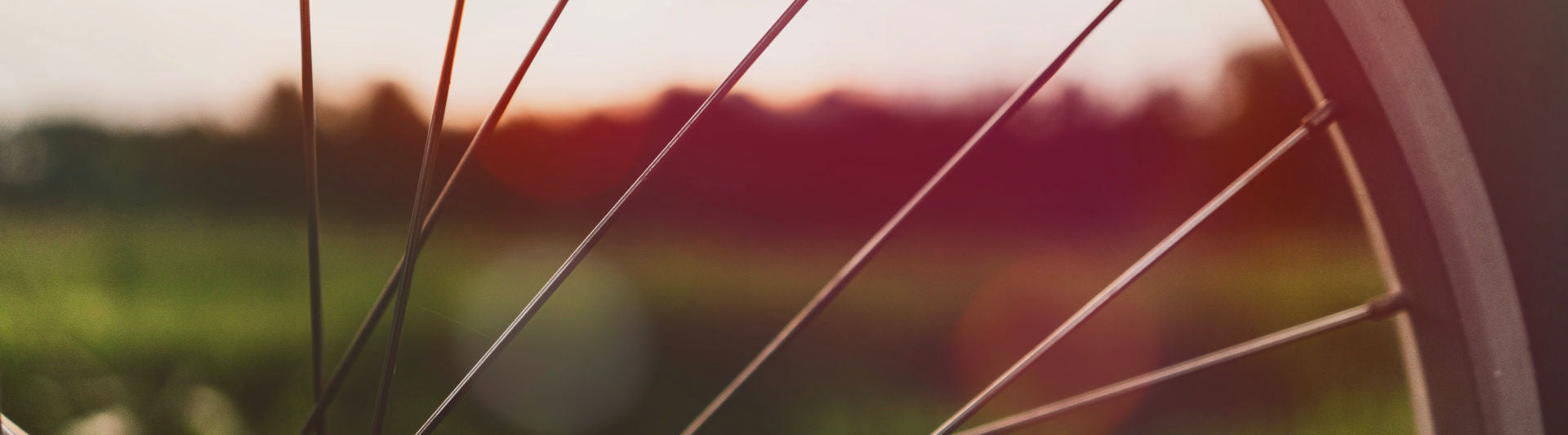 Comment choisir et changer un rayon cassé de vélo