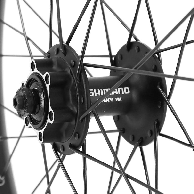 Roue avant renforcée pour CARGO, Longtail et VAE 20' #4