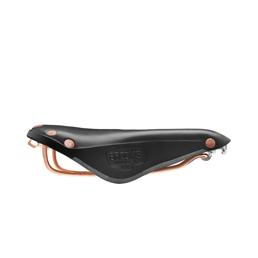 Selle Brooks B17 Special #2