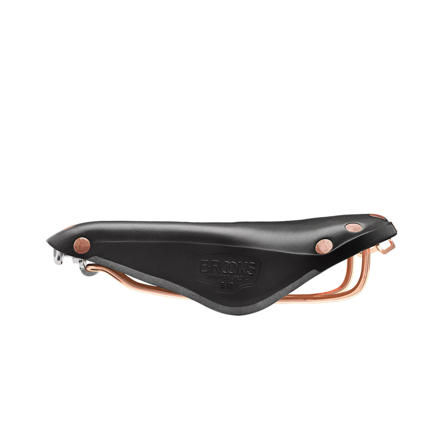 Selle Brooks B17 Special #3