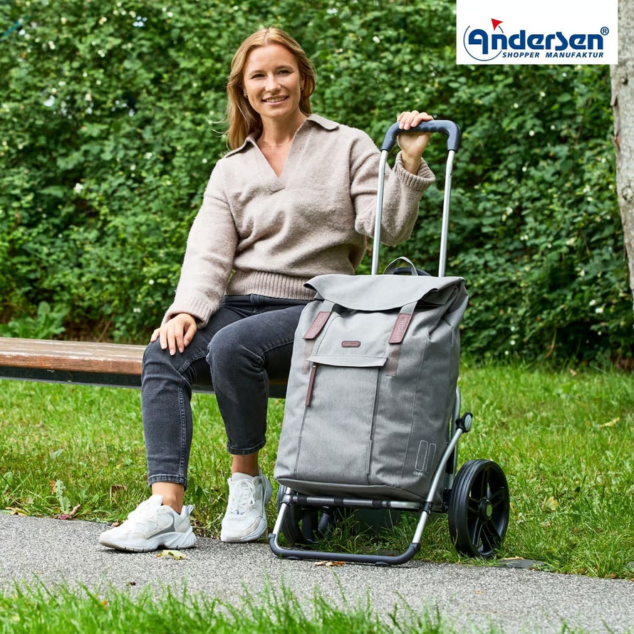 Caddie Andersen Royal Shopper avec sac Basil 50L gris, pratique pour courses et sorties à vélo