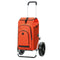 Fahrrad-Einkaufstrolley Andersen Royal Shopper + isolierte Hydro-Tasche 62 l