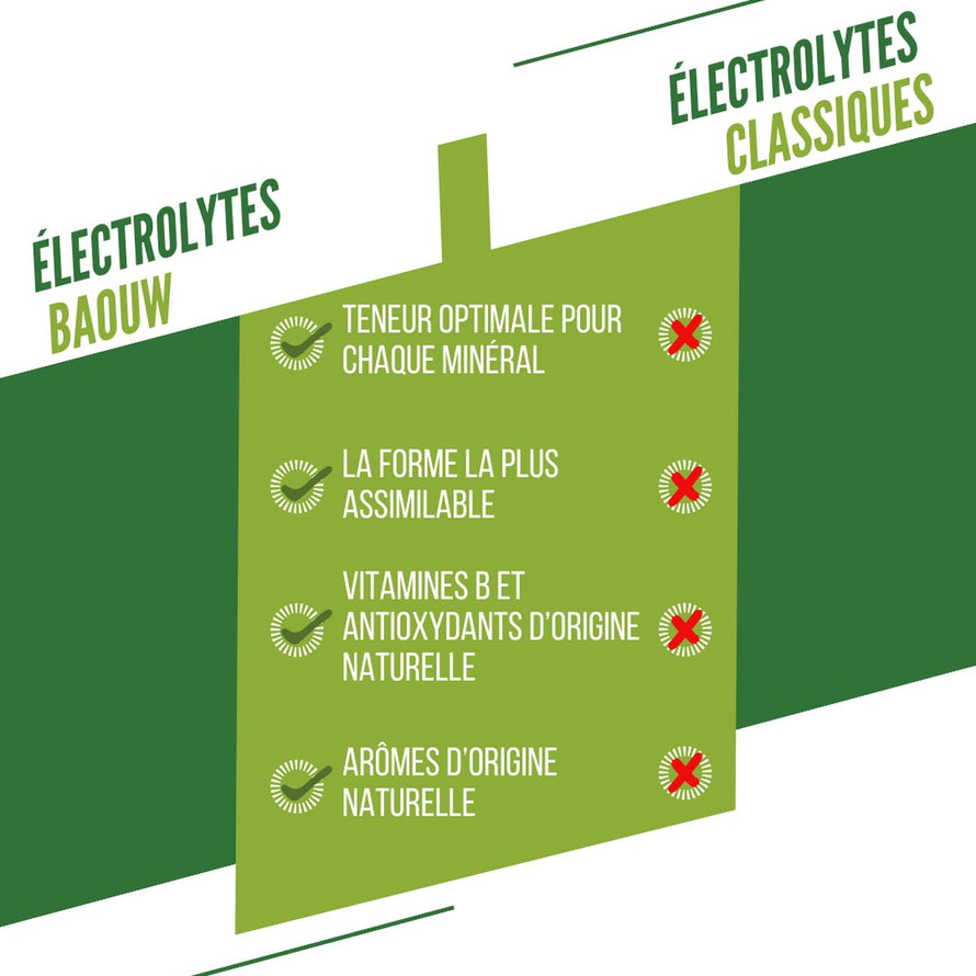 Tubes Baouw citron vert menthe 10 pastilles électrolytes avec minéraux et vitamines naturelles pour sportifs