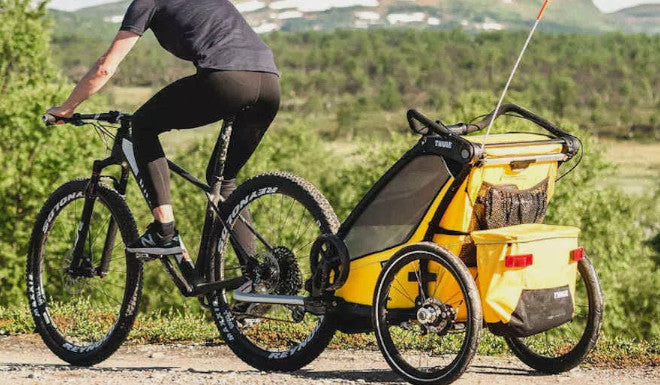 Une Remorque Bagagère Remorque Pour Transport Vtt Remorques