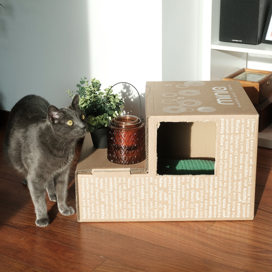 Junior-Fahrradsitz Klapprahmen Minia