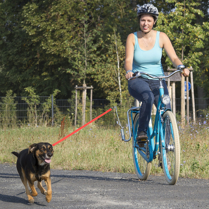 hunde fahrradhelm M-WAVE von Messingschlager Fahrradleine Hund