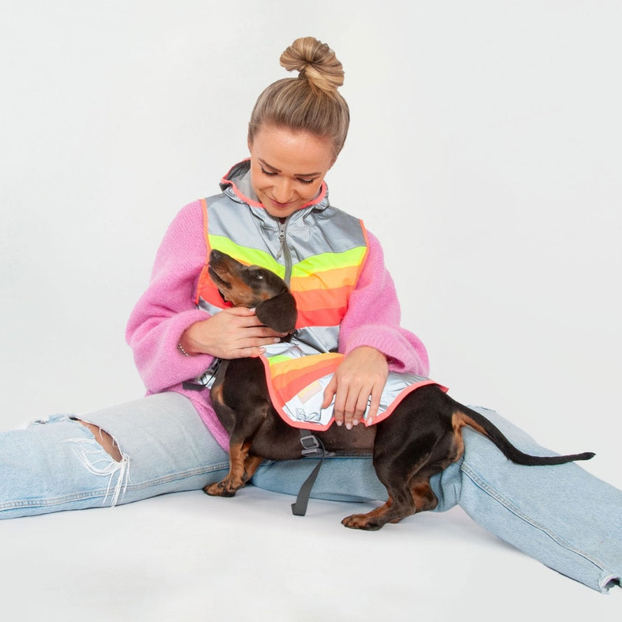 Gilet réfléchissant pour chien GoFluo offrant confort et sécurité pour les balades à vélo en toute visibilité
