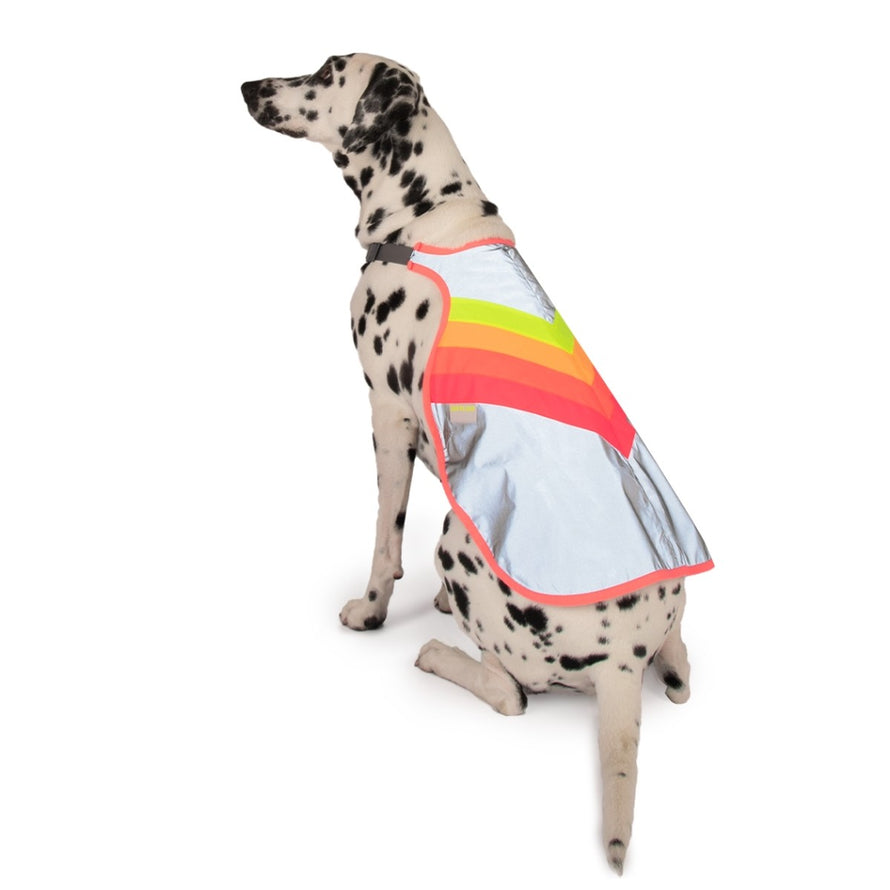 Gilet refletissant pour chien GoFluo avec bandes fluo pour une meilleure securite en velo et balades