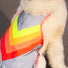 Gilet reflechissant pour chien GoFluo garantissant securite et haute visibilite pour sorties a velo