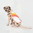 Gilet reflechissant pour chien GoFluo assurant securite et haute visibilite lors des balades a velo