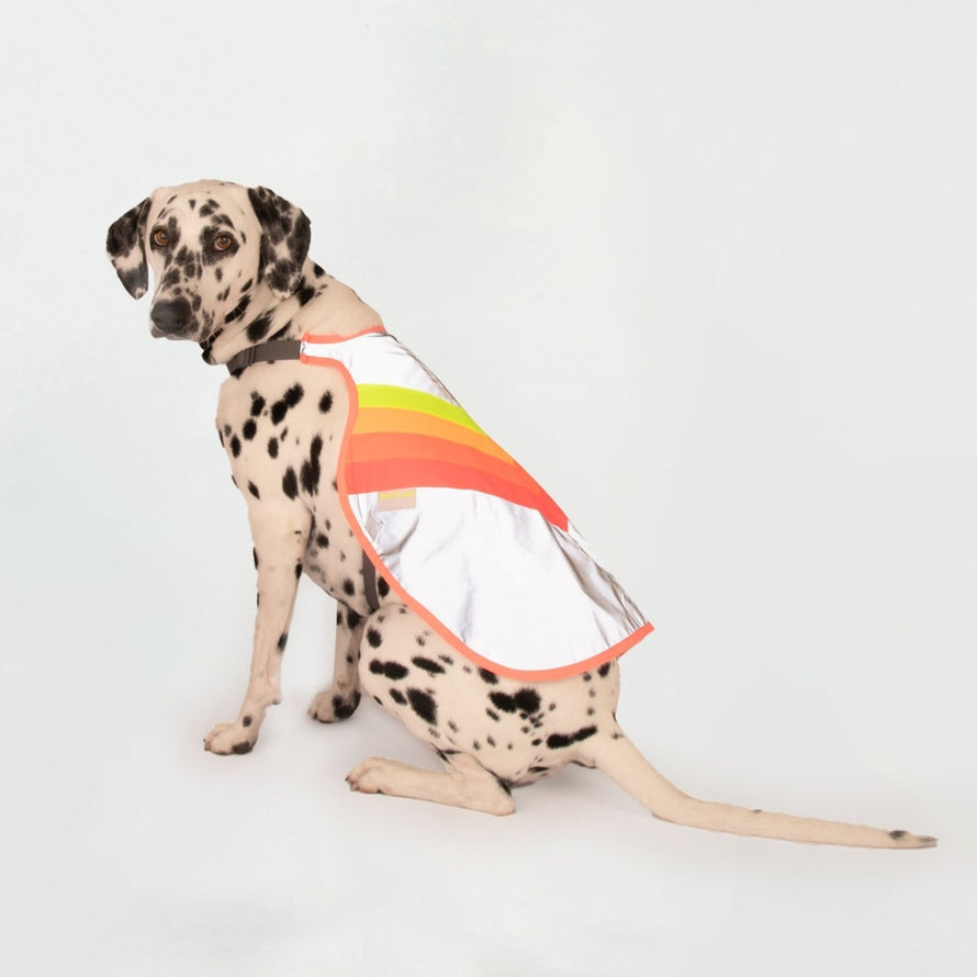 Gilet reflechissant pour chien GoFluo assurant securite et haute visibilite lors des balades a velo
