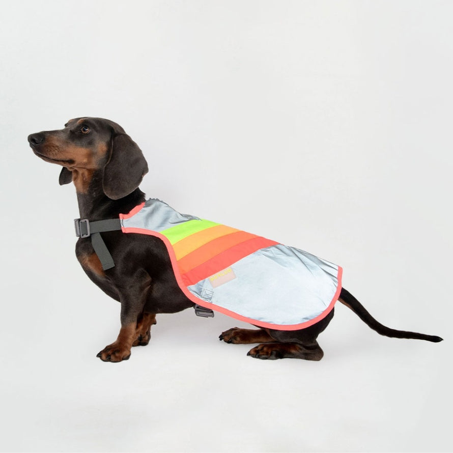 Gilet réfléchissant pour chien GoFluo, sécurité et visibilité optimale pour vos balades à vélo