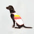 Gilet refletissant pour chien GoFluo modele garantissant securite et confort lors des balades a velo