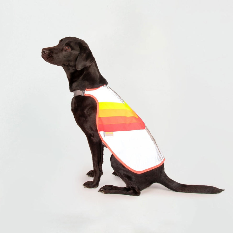 Gilet refletissant pour chien GoFluo modele garantissant securite et confort lors des balades a velo