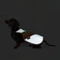 Gilet refletissant pour chien GoFluo garantissant securite et visibilite optimale lors des balades a velo