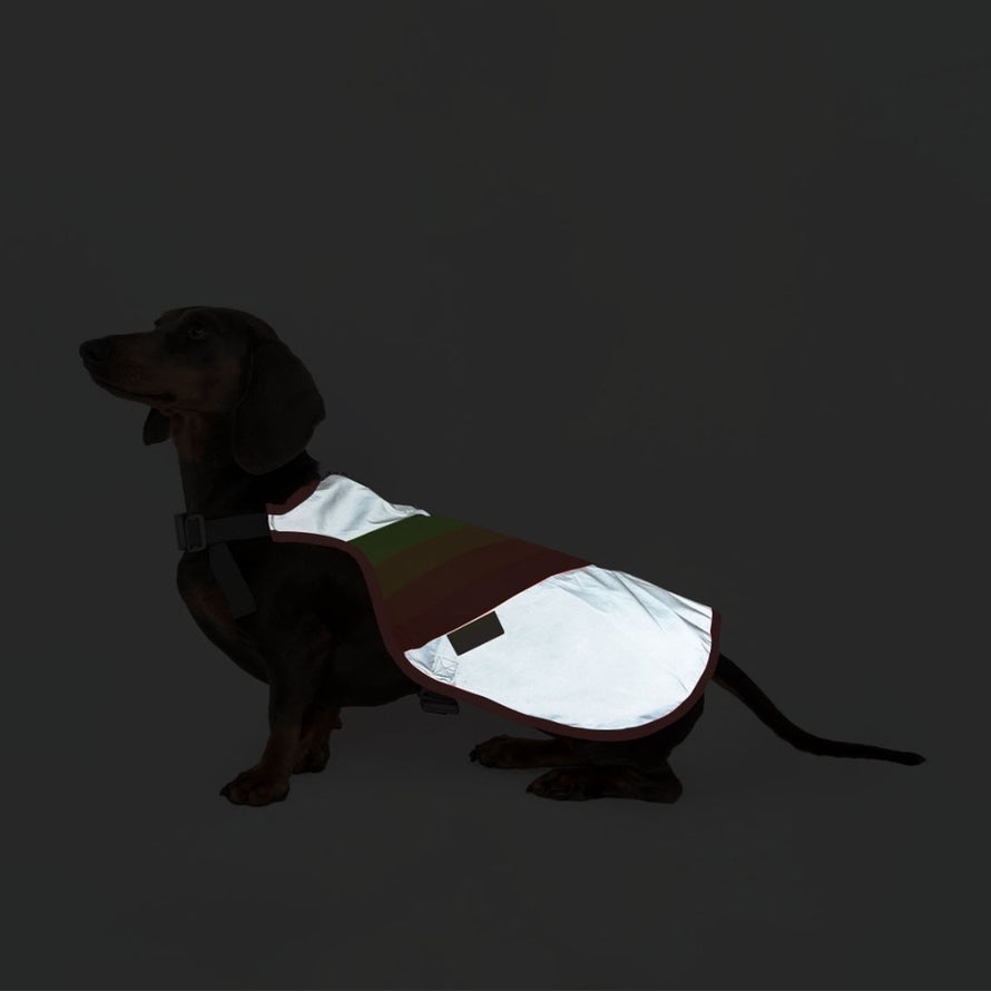 Gilet refletissant pour chien GoFluo garantissant securite et visibilite optimale lors des balades a velo