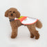 Gilet refletissant pour chien GoFluo assurant une haute visibilite et securite pour vos promenades a velo