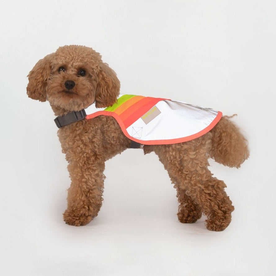 Gilet refletissant pour chien GoFluo assurant une haute visibilite et securite pour vos promenades a velo