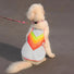 Gilet réfléchissant pour chien GoFluo avec bandes colorées pour sécurité et visibilité lors des balades