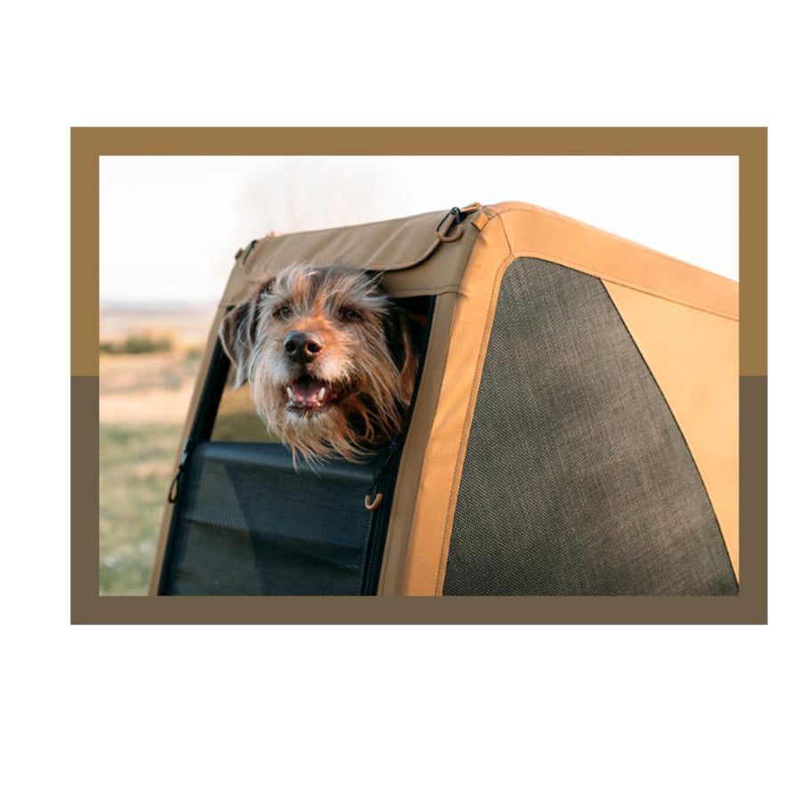 Chien dans remorque vélo Mike Croozer