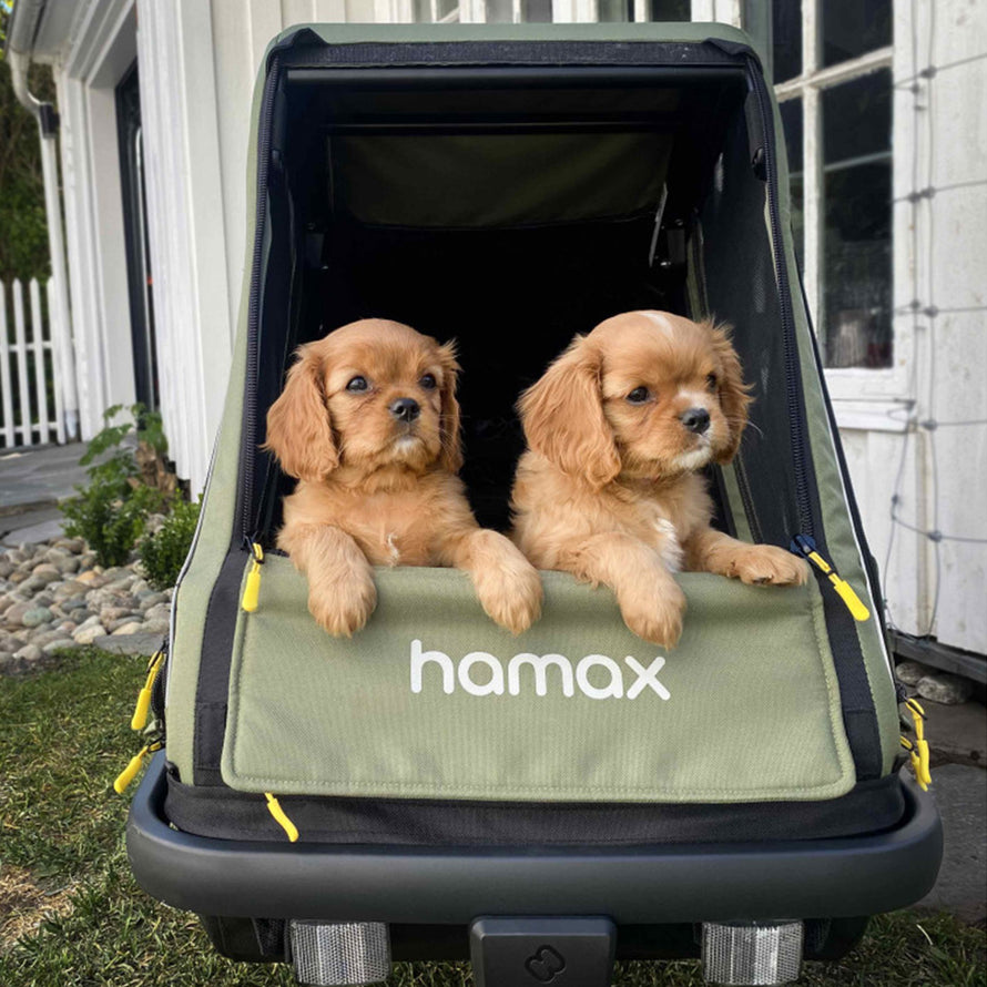 Remorque Pluto interieur