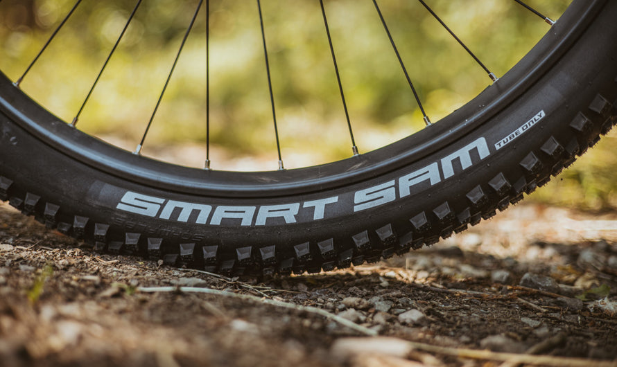 Pneumatico Schwalbe Smart Sam 29'' Tubetype Rigid Addix Performance E-25 Pneumatico Schwalbe Smart Sam 29'' Tubetype Rigid Addix Performance E-25