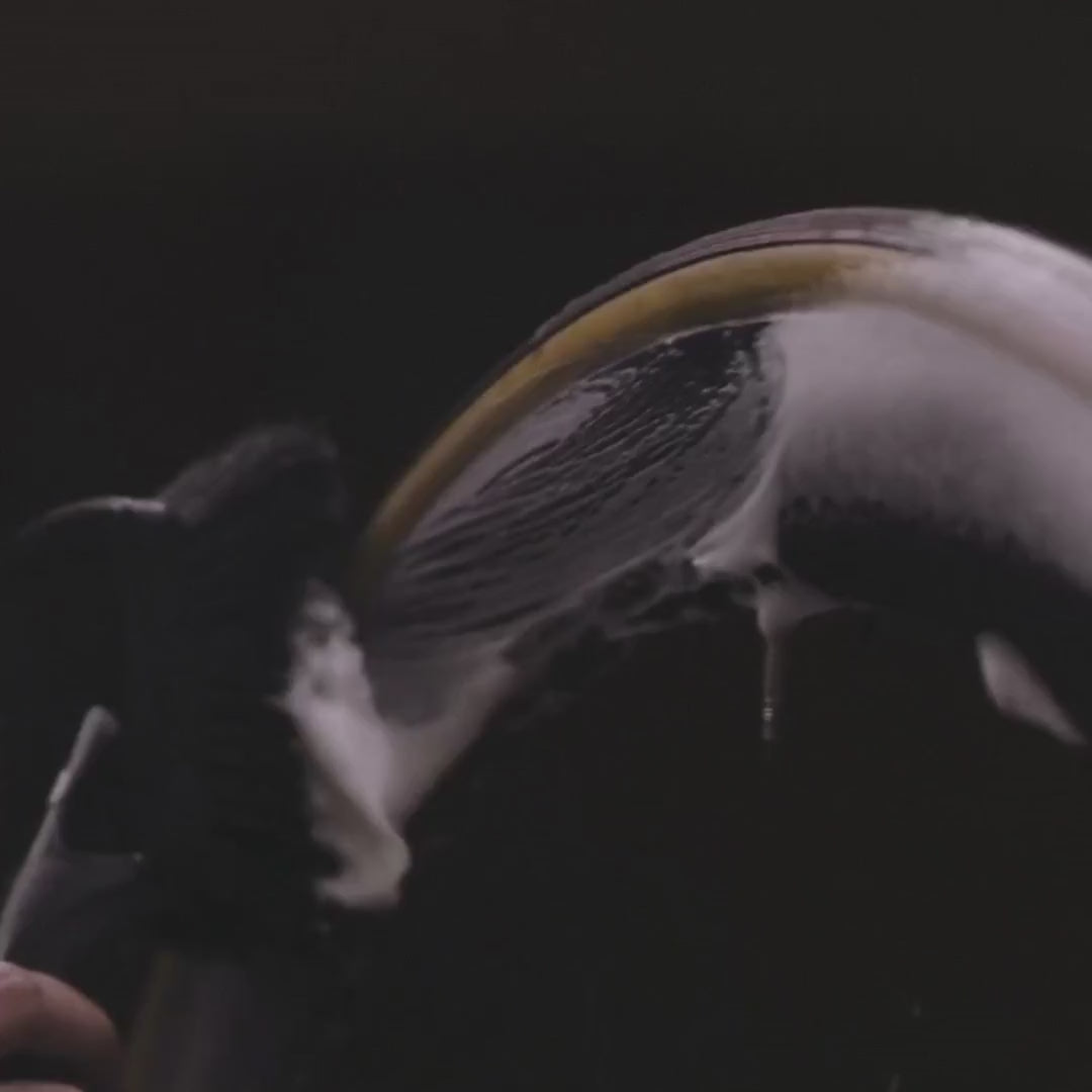 Application de la Soft Washing Brush Dynamic sur une roue