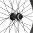 Détail du moyeu Shimano TC500 Center Lock sur roue avant 20 pouces vélo cargo