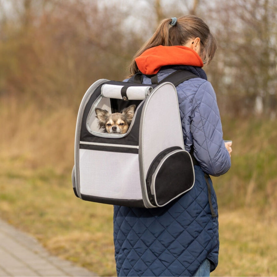 Sac à dos chien Trixie Chloe jusqu'à 8 kg avec design ergonomique et ventilation pour un transport pratique et confortable