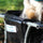 Sac modulable Bacatail Suzon et Suzette pour velo Longtail, parfait pour transporter animaux et charges en toute securite