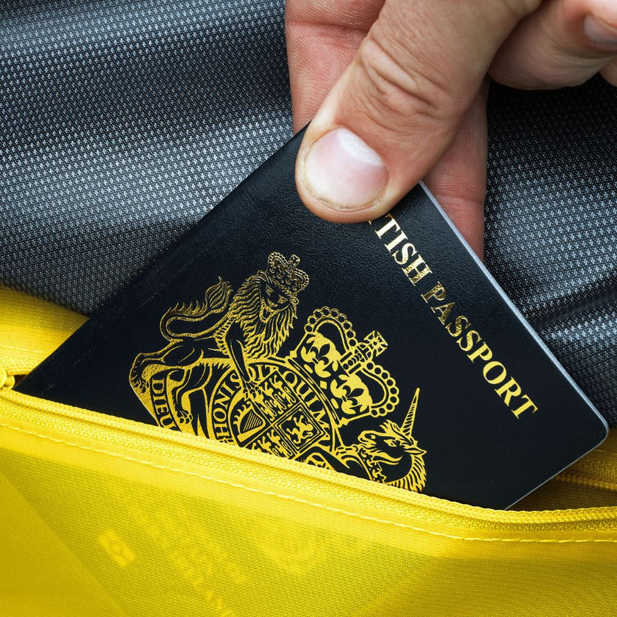 Sacoche porte-bagage avant Apidura front rack pack Expedition