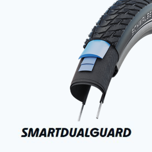 Smart DualGuard
