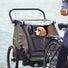 Remorque Thule Courier 2 places transformable en poussette et cargo, idéale pour transporter enfants ou animaux