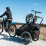 Support Thule draisienne 12 pouces pour remorque enfant Chariot 2, fixation facile et maintien optimal
