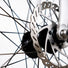 Freins à disque hydrauliques Shimano MT200 sur le vélo électrique E2ST, avec plaquettes résine B05S-RX et disques 160 mm.