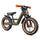 Draisienne VTT avec frein Biky Trail Berg