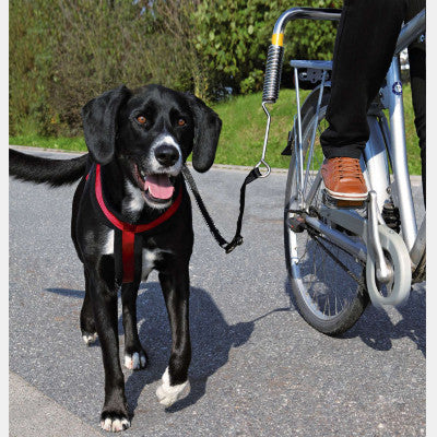 Laisse pour chien à fixer sur le vélo - Oklö - biclou pratique