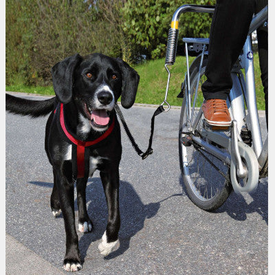 Laisse de vélo pour chien de Trixie - Biker Set De Luxe