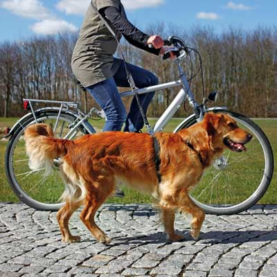 Laisse pour chien pour vélo et jogging Trixie