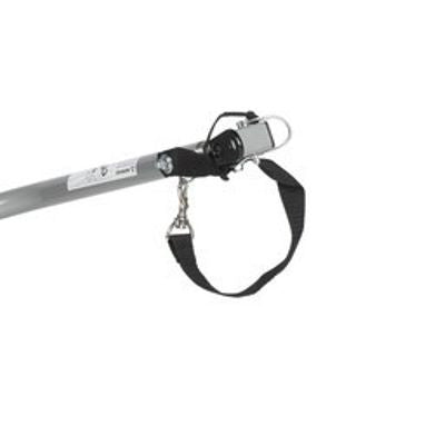 Remorque vélo pour chien Dog Van de XLC - #4